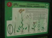 PP Urbánkův palouk