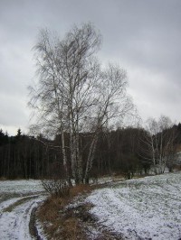 Krajina nad Aueršperkem