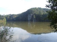 Věžický rybník