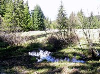 Horní Blanice