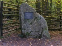 Žofínský prales