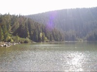plešné jezero