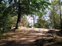 Žaltman