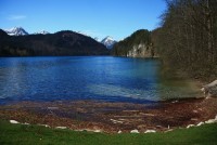 63. Neuschwanstein, Hohenschwangau, Ludvík II. Bavorský, Marienbrücke -   Bavorsko - NĚMECKO