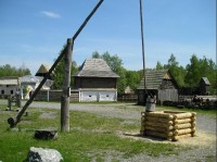 řepora