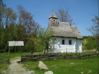 řepora