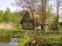 řepora