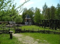 řepora