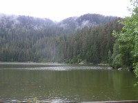 Plešné jezero: Plešné jezero  