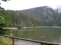 Plešné jezero: Plešné jezero