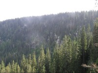 Plešné jezero: Plešné jezero - skály nad hladinou