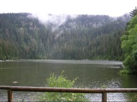 Plešné jezero: Plešné jezero