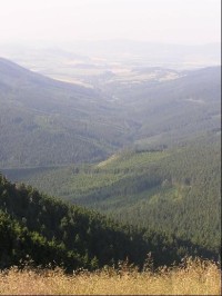 První metry řeky Moravy: První metru toku řeky Morava