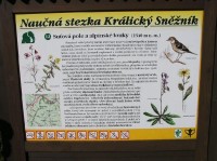 Naučná stezka č.12