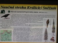 Naučná stezka č.6