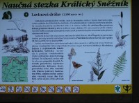 Naučná stezka č.9