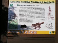 Naučná stezka č.11