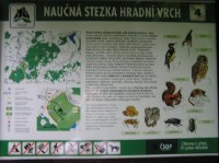 Hukvaldy