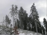 Pohled z hřebenu