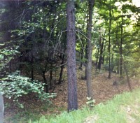 Velichov - hradiště