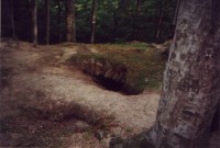 Kaltenštejn (Hradisko)