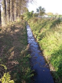 Kopřivnička: Pohled na potok
