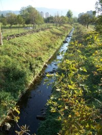 Kopřivnička: Pohled na potok