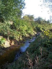 Kopřivnička: Pohled na potok