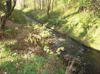 Kopřivnička: Pohled na potok vytékající z čističky