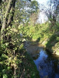 Kopřivnička: Pohled na potok