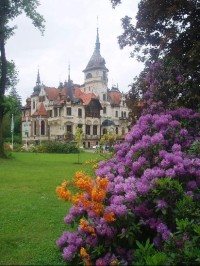 pohled od bufetu U vevreky