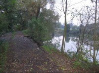 Polanská niva