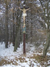 na kraji lesa Chlebovická nedaleko prameniště