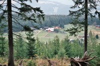 Vlašské boudy (Valšovky)