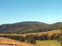 Javorník
