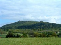 Hvozd