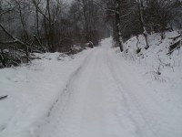 Janov - nový rybník