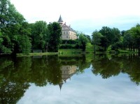 Raduň
