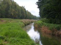 Ploučnice, vrchní tok
