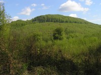 Hradisko Holý kopec