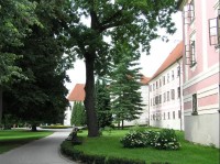 zámecká zahrada