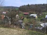 Vlčková