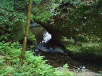 Kyjovské údolí: Křinice 25.9.05
