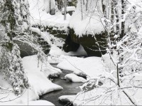 Kyjovské údolí: Kyjovské údolí. Křinice 12.2.06