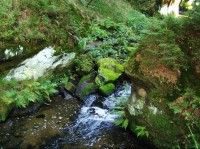 Kyjovské údolí: Křinice 25.9.05