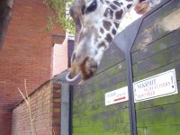 Zoo Liberec