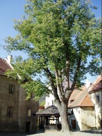 Křivoklát - altán