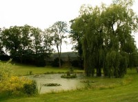 Zámecký park