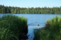Kladská