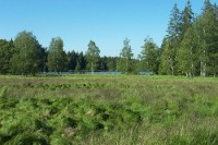 Kladská
